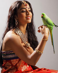 Shriya Saran